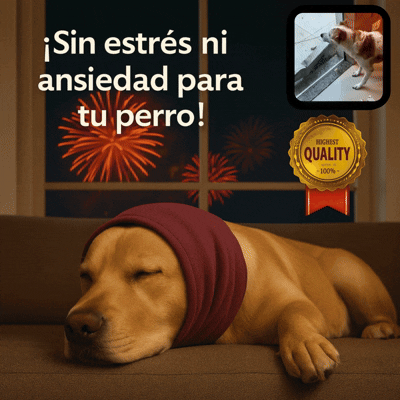 PerroCalma™ – La banda que tranquiliza, protege y calma a tu perro en segundos