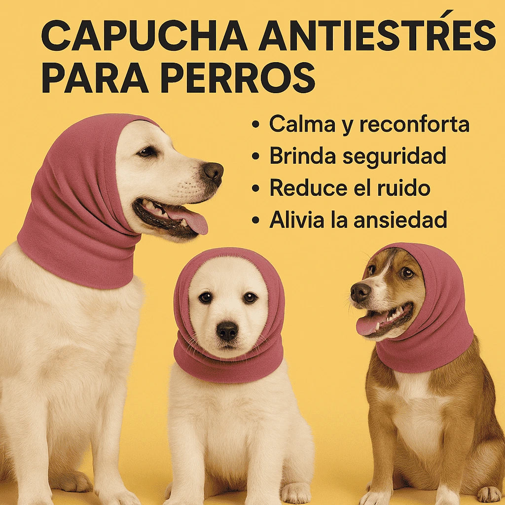 PerroCalma™ – La banda que tranquiliza, protege y calma a tu perro en segundos